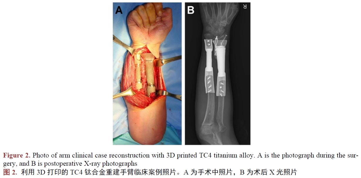 1671021321824896.jpg t2.jpg