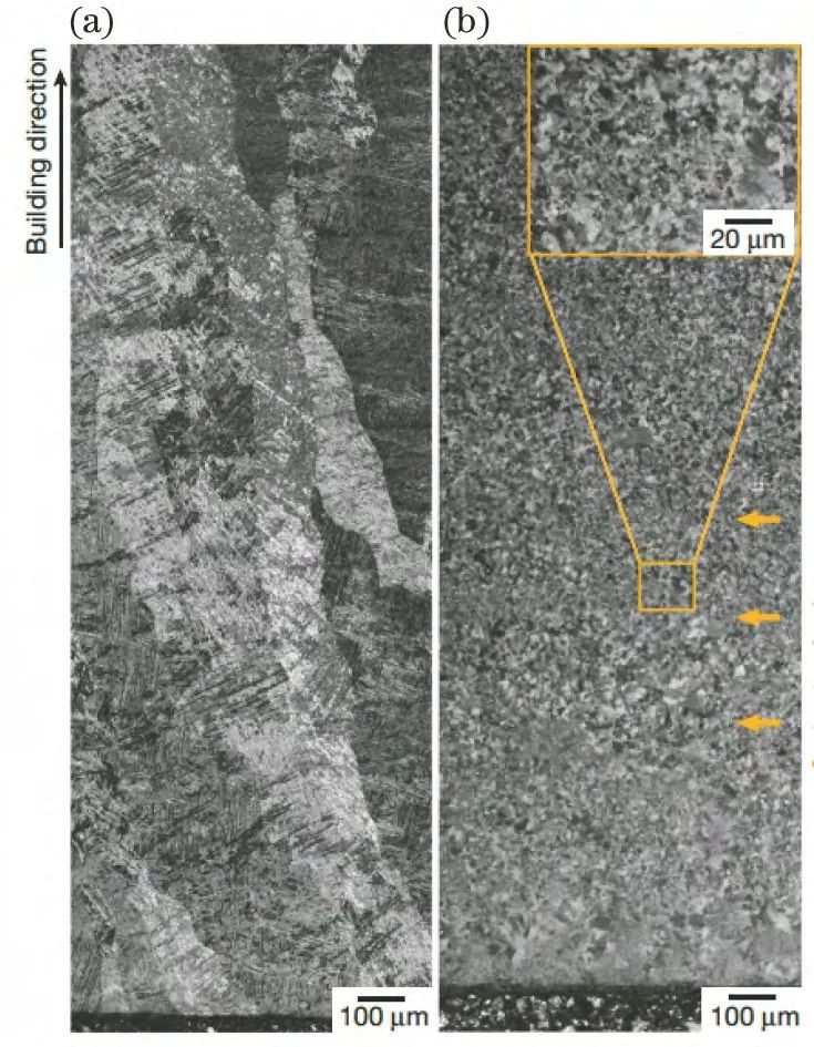 1676452936895024.jpg t3.jpg