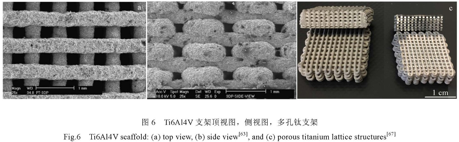 1681198845715042.jpg t6.jpg