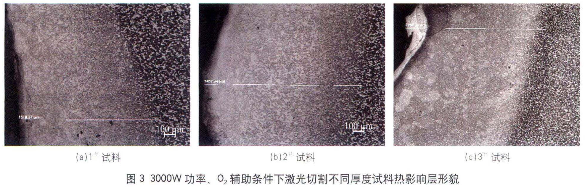 1681455849337265.jpg t3.jpg